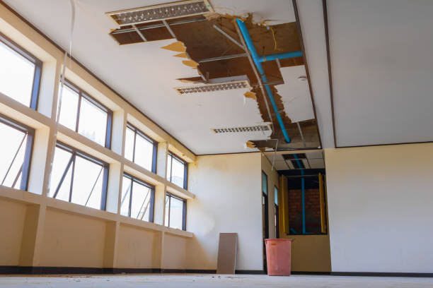 Best Ceiling water damage repair  in Rock Island, WA