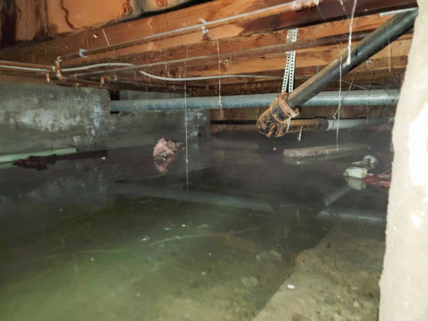 Best Fire Damage Restoration  in Rock Island, WA