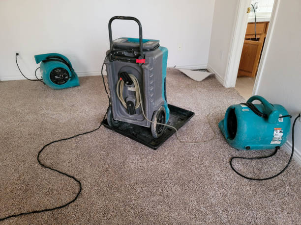 Best Water damage mitigation services  in Rock Island, WA