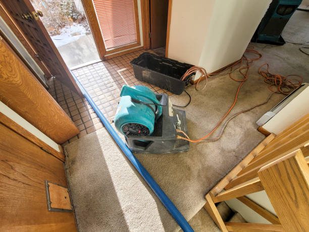 Best Local water damage restoration  in Rock Island, WA