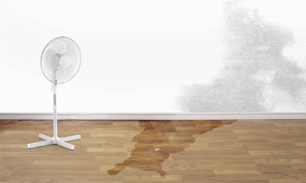 Professional Water damage restoration in Rock Island, WA