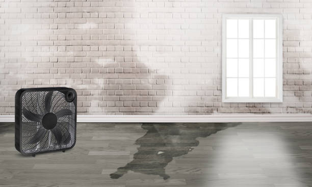 Best 24-hour water damage restoration  in Rock Island, WA