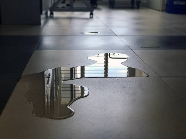 Best Water damage restoration near me  in Rock Island, WA