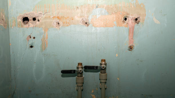 Best Water damage restoration near me  in Rock Island, WA