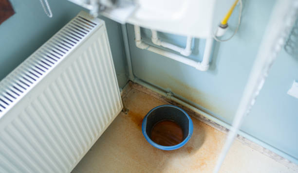 Best Mold removal after water damage  in Rock Island, WA