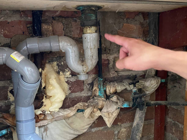 Best Professional water damage repair  in Rock Island, WA