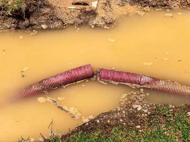 Best Water damage cleanup near me  in Rock Island, WA