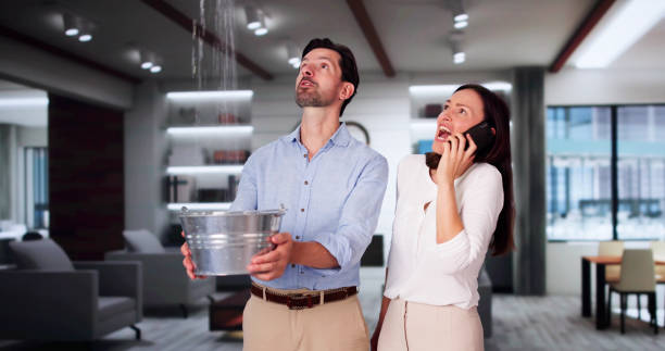 Best Carpet water damage restoration  in Rock Island, WA